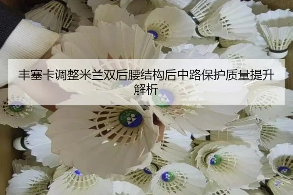 丰塞卡调整米兰双后腰结构后中路保护质量提升解析