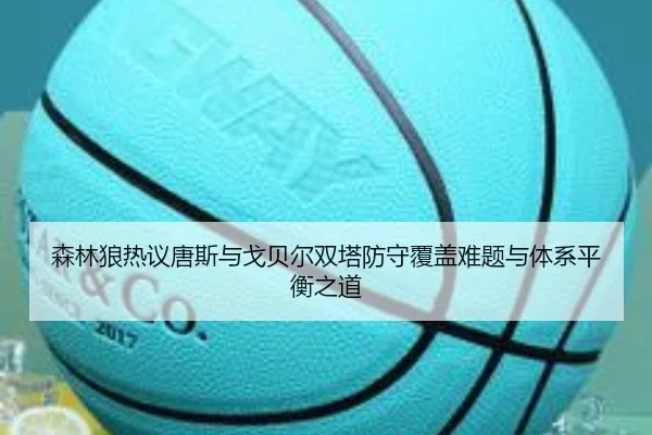 森林狼热议唐斯与戈贝尔双塔防守覆盖难题与体系平衡之道